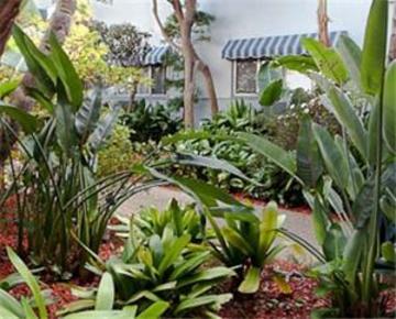 Travelodge At Lax 2* Los Angeles